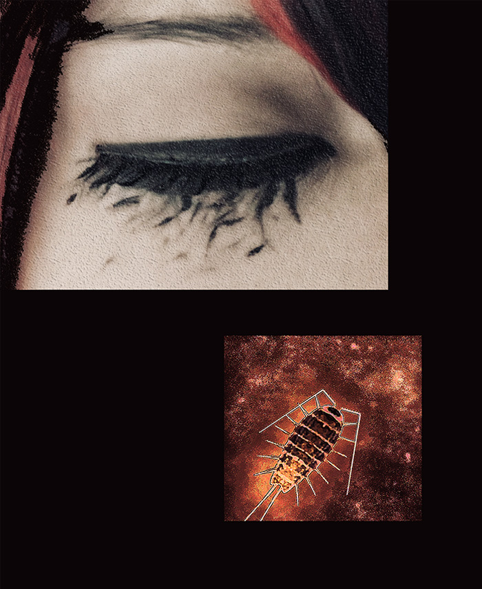 Cos正片｜VOCALOID骸音シーエ细菌污染