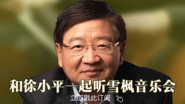 徐小平最好的人生之路,徐小平如何评价