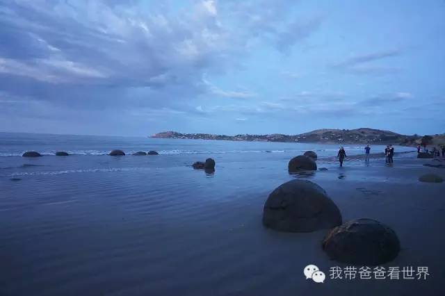 新西兰奇异圆石,摩拉基大圆石龟背形成原因