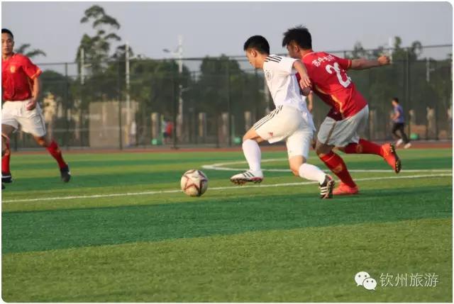 钦州学院,钦州学院2019