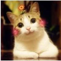 在澳门闲逛了一天,澳门悠闲一日游