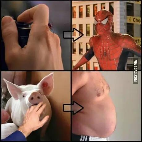 汝非瓜，焉知瓜之不应乎？