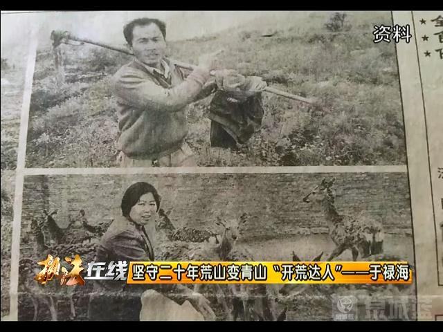 坚守二十年秃山变青山南部山区有个开荒达人于禄海