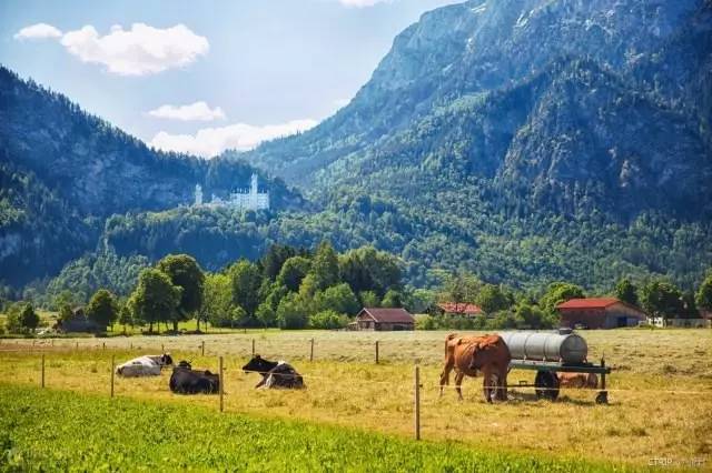 去欧洲旅游不买奢侈品,最省钱欧洲旅游攻略