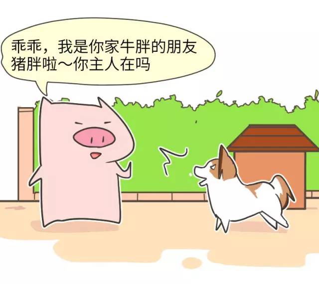 身娇贫乳双马尾，准备好舔屏了吗？！