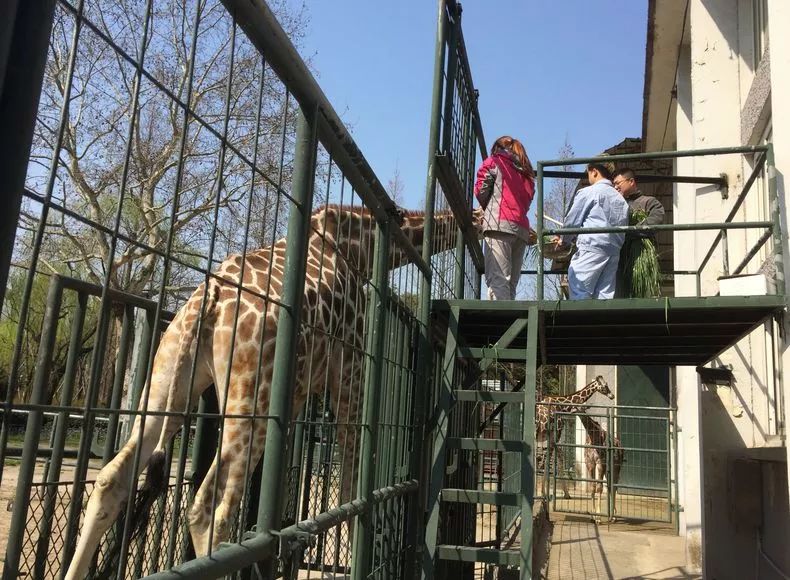 阿拉看宁波,阿拉看荷花