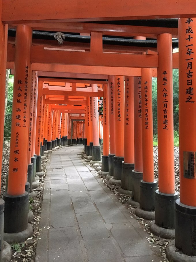 年假连端午，二次进日，关西8日游：京都、岚山（嵯峨野观光小火车、岚电）、奈良、环球影城