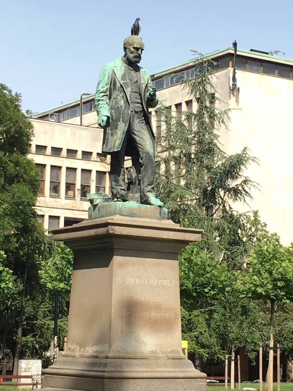 一座经历沧桑的城市,中国近代被战火摧毁的城市的影像