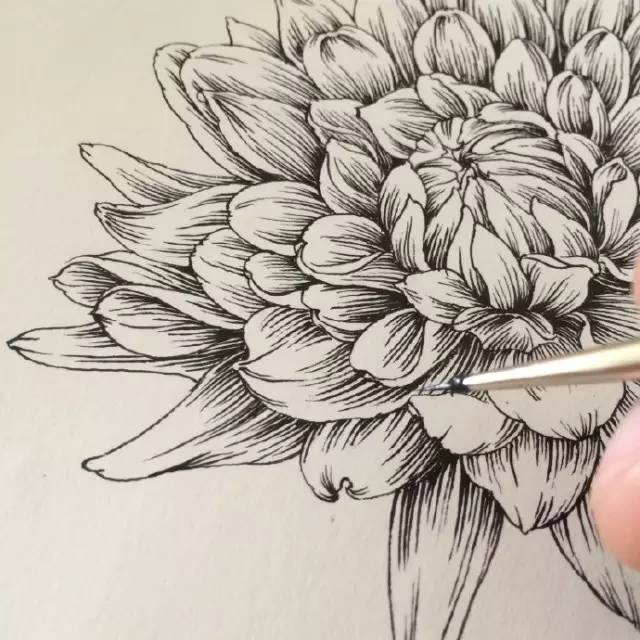 五年百款「纸品的美好」的日日夜夜