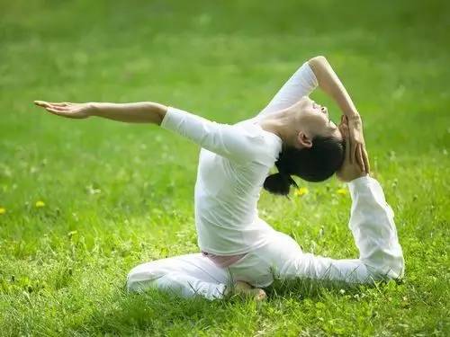 大麦若叶青汁可以减肥吗,大麦若叶青汁有减肥的功效吗