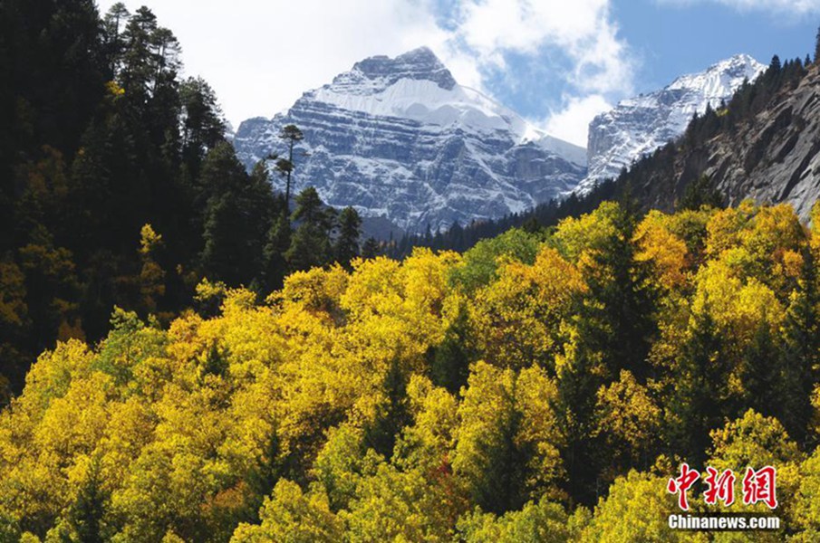 雪域高原风光秀丽视频,雪域高原的美丽风景