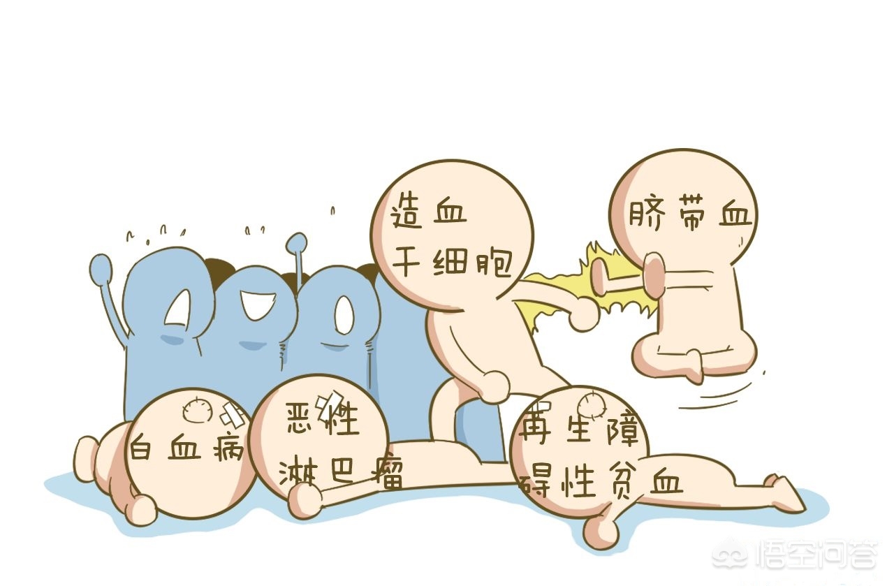 储存脐带血是捐献还是自存,存脐带血保险利弊