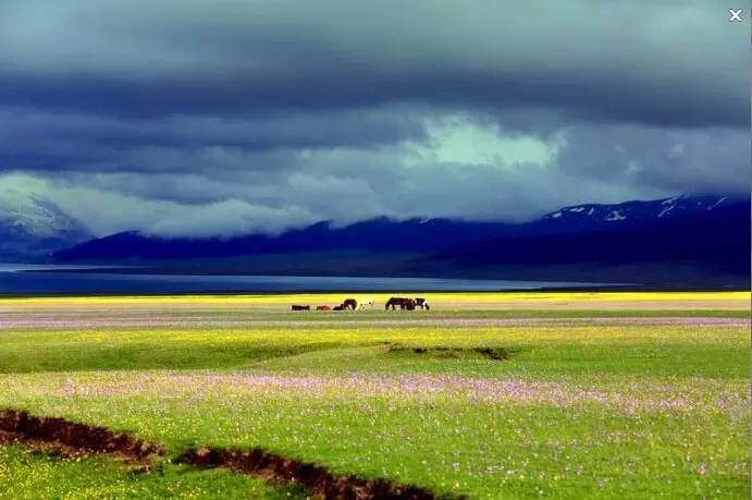 全国最美的六个地方,6月国内最美的10个地方