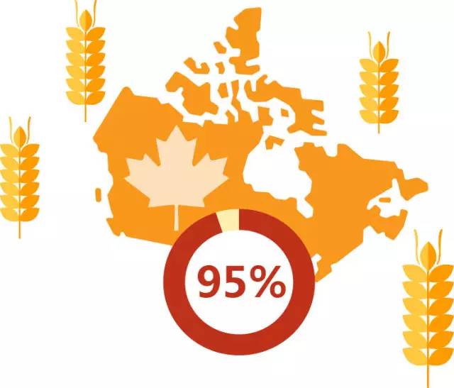 万人烘焙，一块面包的奇幻旅程