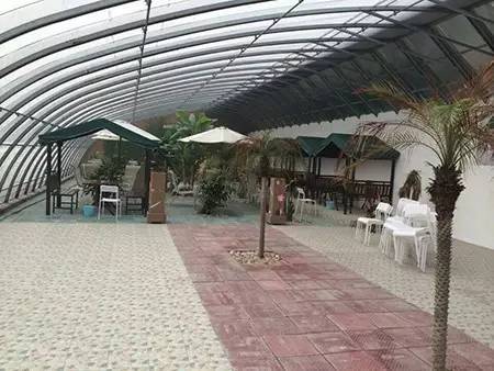 晚报亲子本周六再开蔬菜采摘喂小猪，小朋友抓紧报名啦