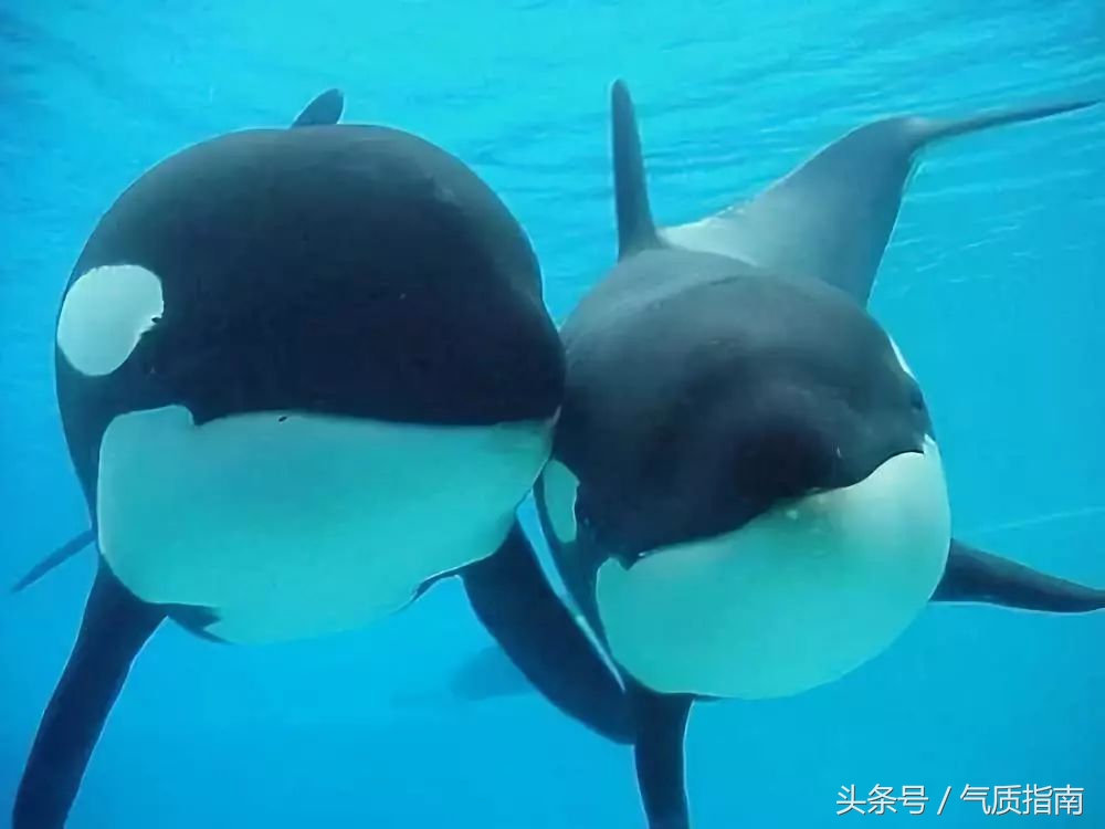 朋友圈里卖低价服装的真相,朋友圈代购真实案例