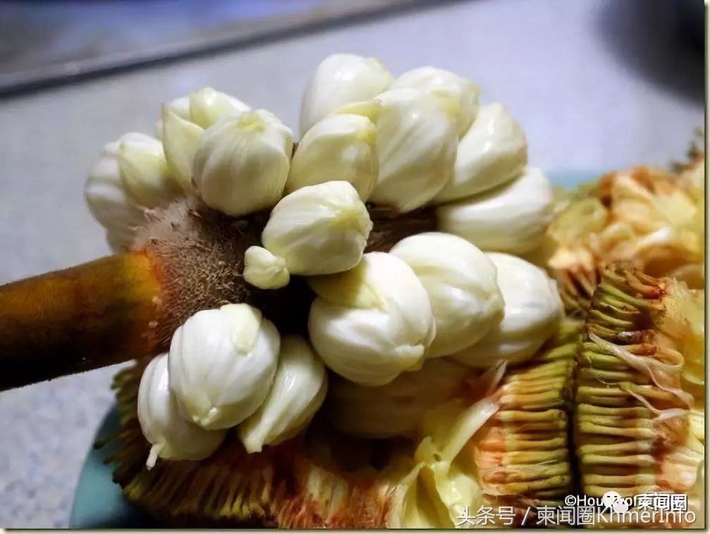 柬埔寨的特色水果有哪些,柬埔寨十大热带水果