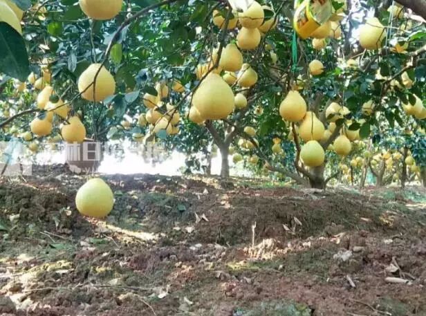 广西的感动时刻,感受温暖的瞬间