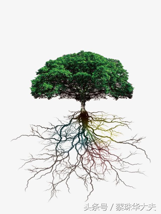 胎心（芽）、HCG（根）、子宫动脉（水管）的故事