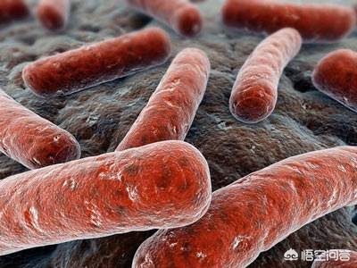 如何发现肺结核常见症状有哪些,肺结核最常见的症状是什么