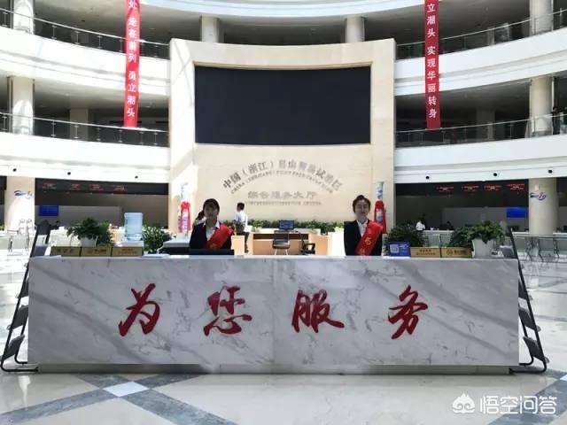 政府行政审批服务局,行政审批和政务服务局