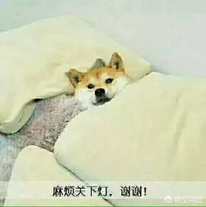 怀孕一个月反应大怎么回事,怀孕一个月的反应