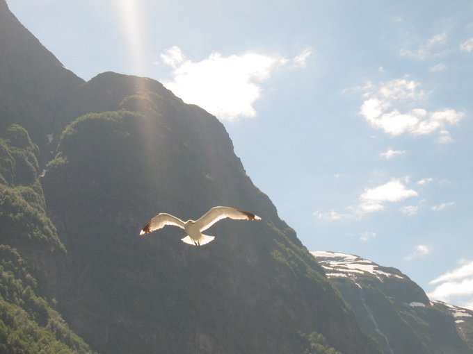 北欧四国丹、瑞、挪、芬，不是穷游的穷游（多图杀猫，字多慎入）