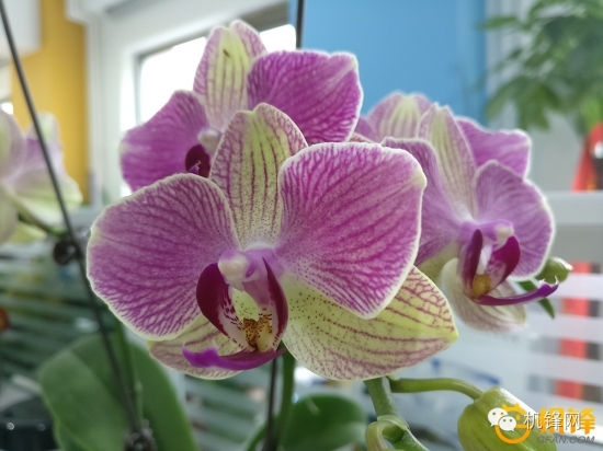 一加手机3评测：骁龙820助力极速体验