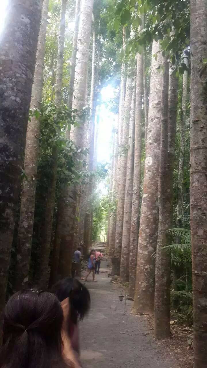 澳大利亚昆士兰自由行攻略,去澳大利亚昆士兰州旅游攻略