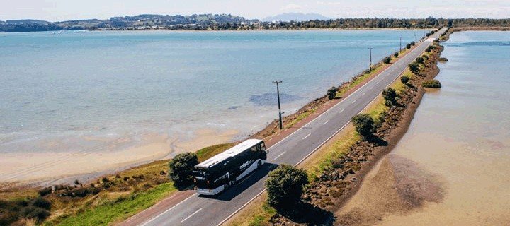 趁年轻我们一起去旅行,趁年轻我们一起去旅行吧