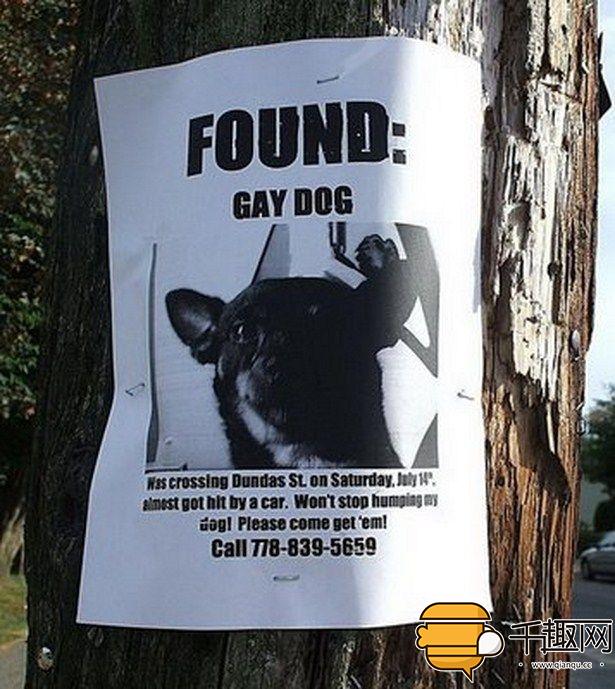 奇葩的招聘启事,奇葩的招工启事