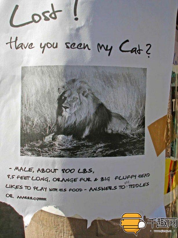 奇葩的招聘启事,奇葩的招工启事