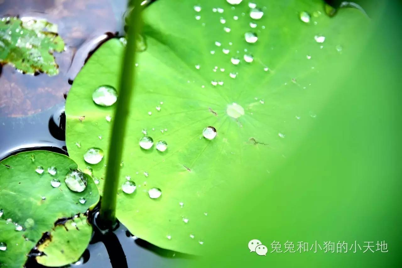 皇家御庭店,普拉提皇家御庭