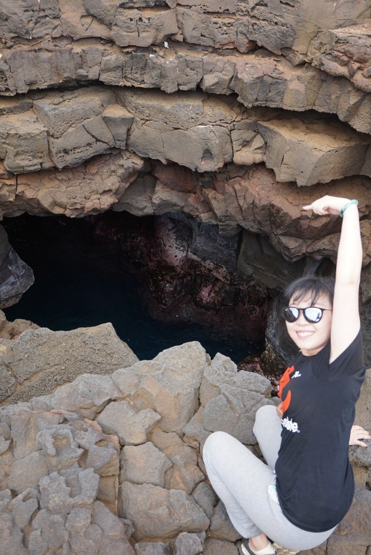 没有意外是哪句电影台词,夏威夷旅行说明