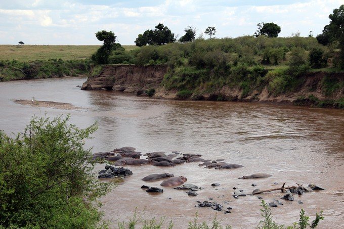 肯尼亚5天难忘的野生动物园,肯尼亚野生动物之旅