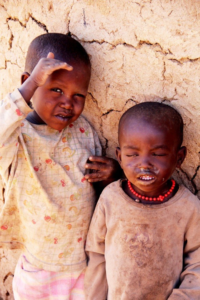 肯尼亚5天难忘的野生动物园,肯尼亚野生动物之旅