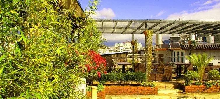 丽*青江**旅：愿你的颠沛流离，终将被妥善安放