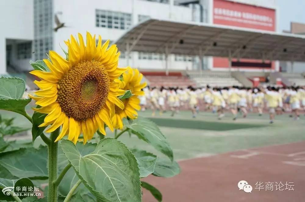 西安市高新区视频,西安高新区全貌视频