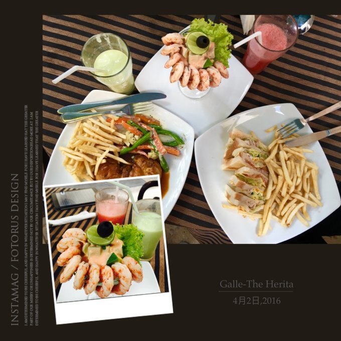 锡兰,九野,春天里@2016