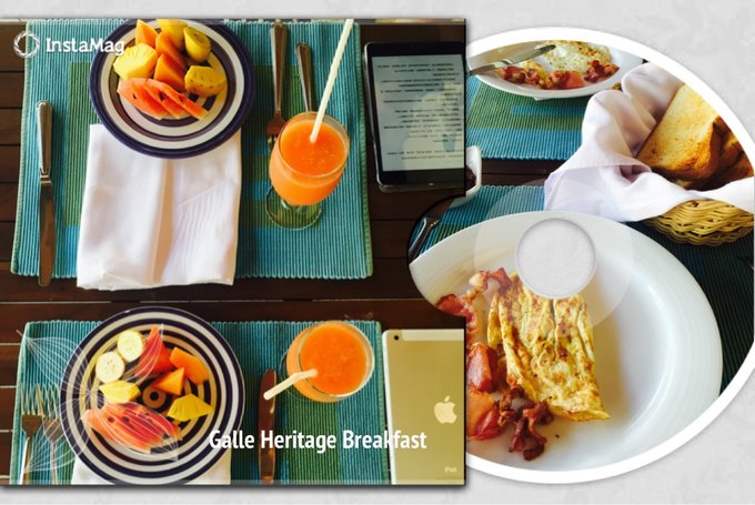 锡兰,九野,春天里@2016