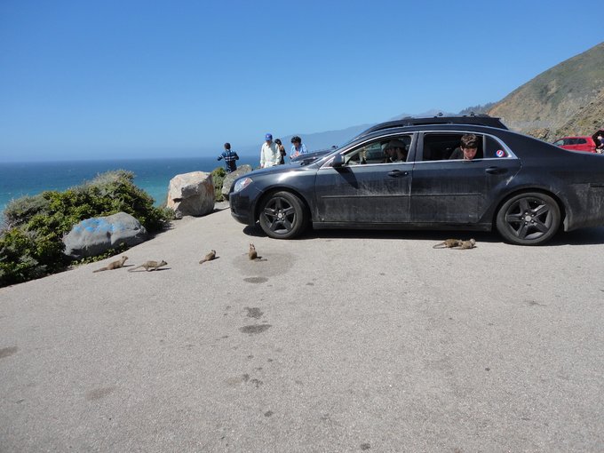 美国1号公路旅游视频,美国1号公路旅游线路