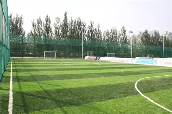 欧洲杯足球在哪里踢得好,欧洲杯足球场地在哪里