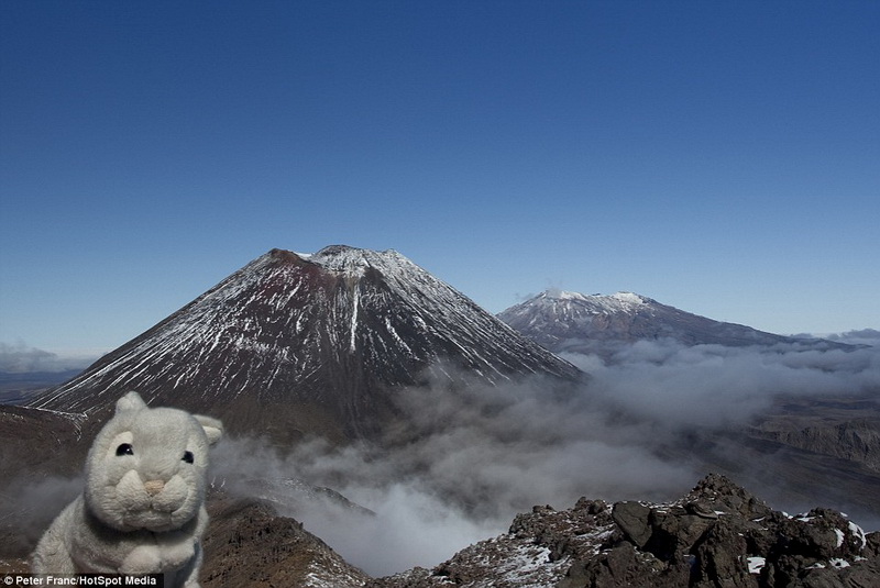 男子携带玩偶兔旅行20多国你想携带什么？