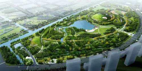 杨行发展和顾村发展哪个好一点,宝山淞宝杨行顾村规划