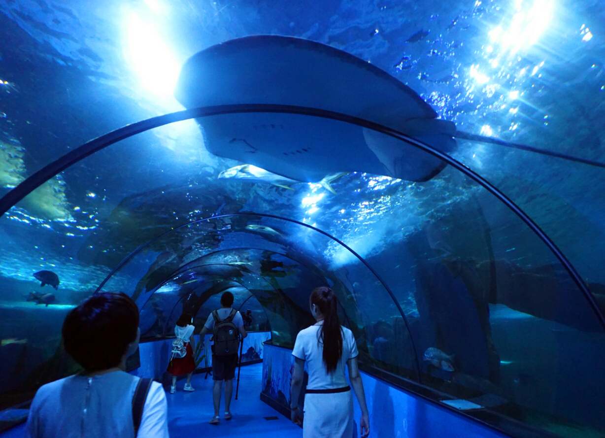 无锡夏天避暑,大热天无锡哪里避暑