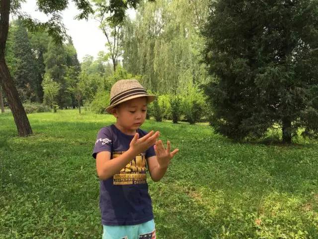 顺义后沙峪镇,顺义区后沙峪村