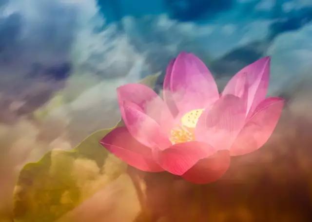 纪念心理治疗大师萨提亚诞辰100周年成为一个更完整的人