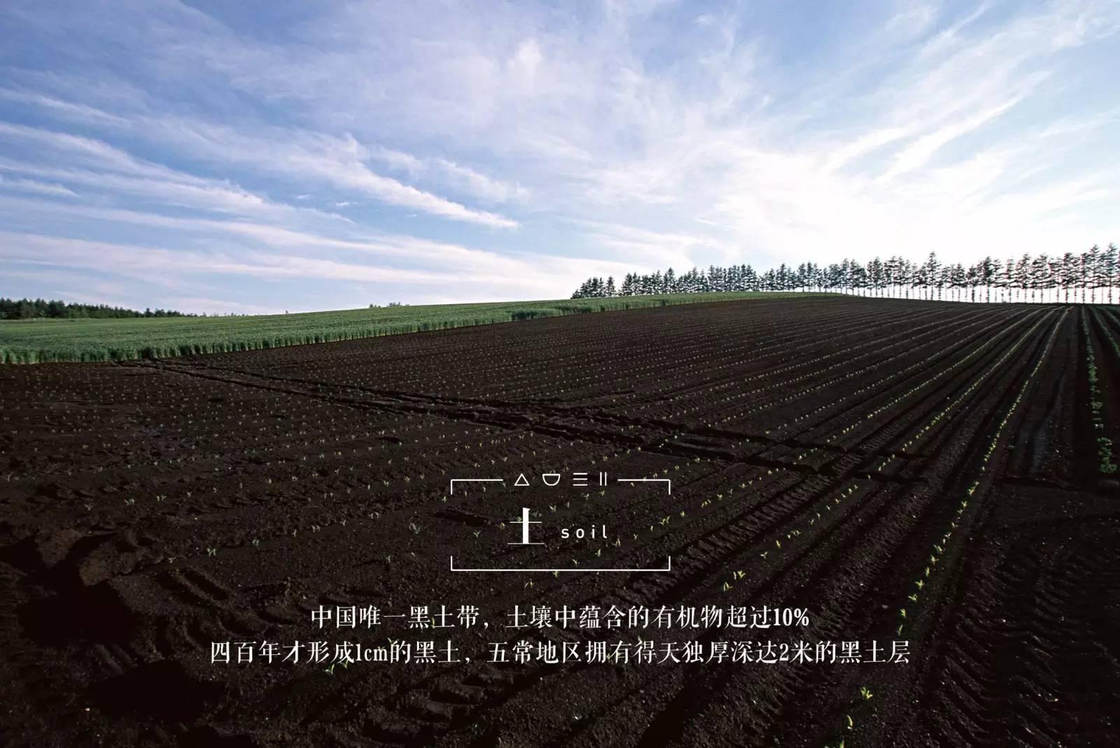 脚气病患者福利来啦！日本人为什么吃胚芽米？原因在这！