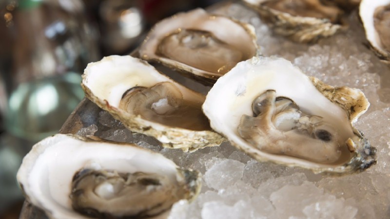 海蛎子的秘密,牡蛎的趣闻科普