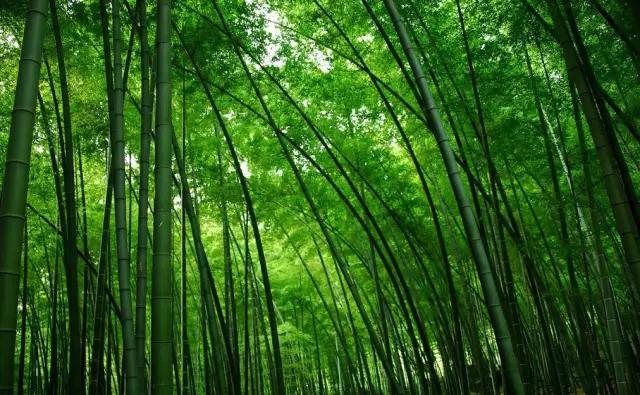 江西绝美九寨沟,何必去找世外的仙境